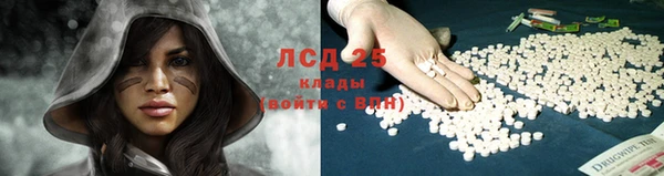 твердый Арсеньев