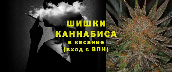 твердый Арсеньев