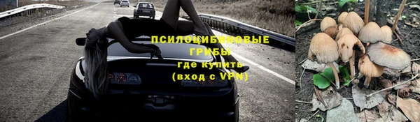 твердый Арсеньев